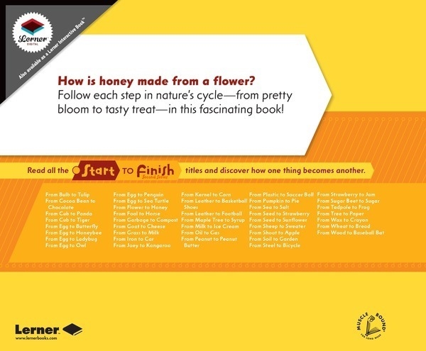 Montessori Materials From Flower to Honey (Library Bound)