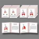 The Respiratory System, Early Childhood