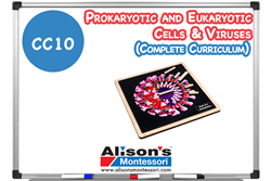 Prokaryotic and Eukaryotic Cells & Viruses - Complete Curriculum