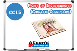 Parts of Invertebrates - Complete Curriculum