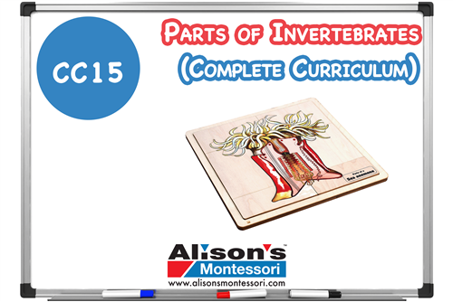 Parts of Invertebrates - Complete Curriculum