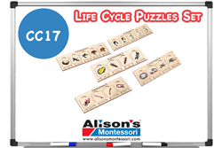 Life Cycle Puzzles Set