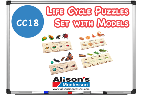 Life Cycle Puzzles Set with Models