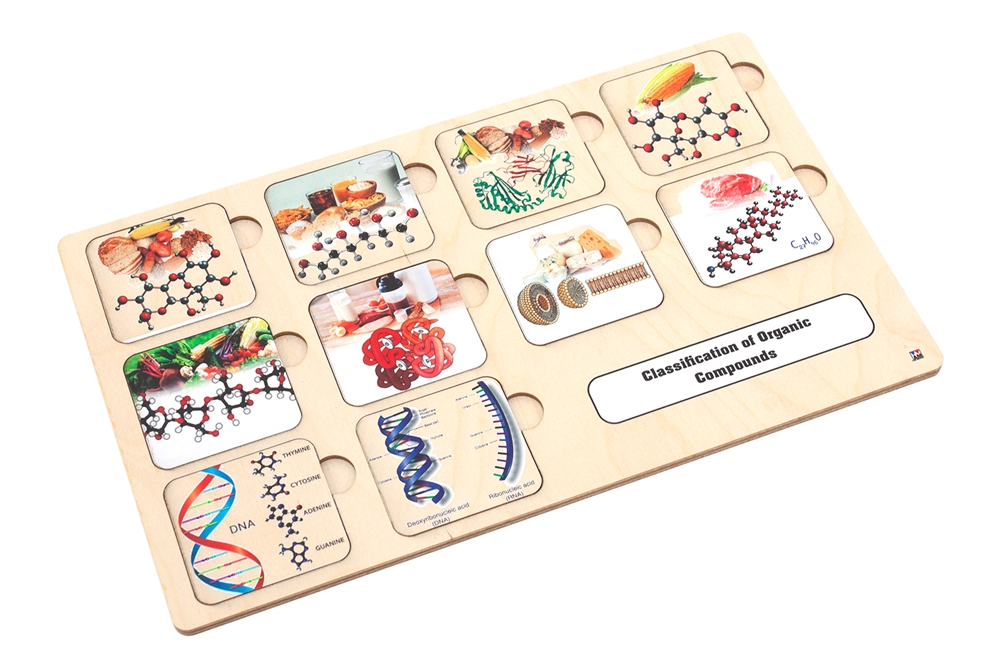 Classification of Organic Compounds Puzzle 