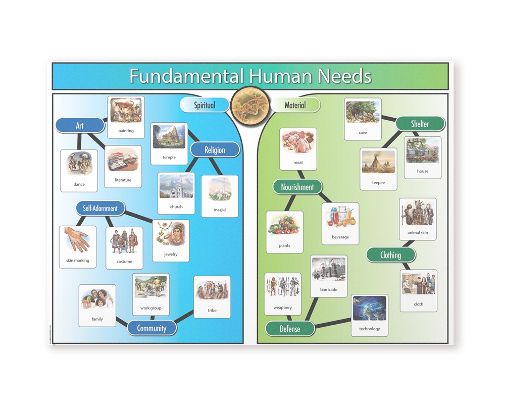 Montessori: Fundamental Human Needs Chart