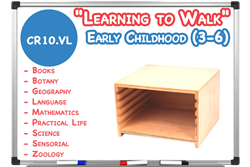 "Learning to Walk" Package (Value Line)