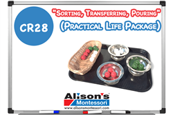"Sorting, Transferring, Pouring" Practical Life Package