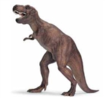 Montessori Materials Tyrannosaurus Rex
