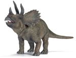 Montessori Materials Triceratops