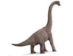 Montessori Materials Brachiosaurus