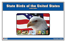 State Birds of the United States Flash Cards