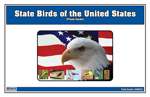 State Birds of the United States Flash Cards