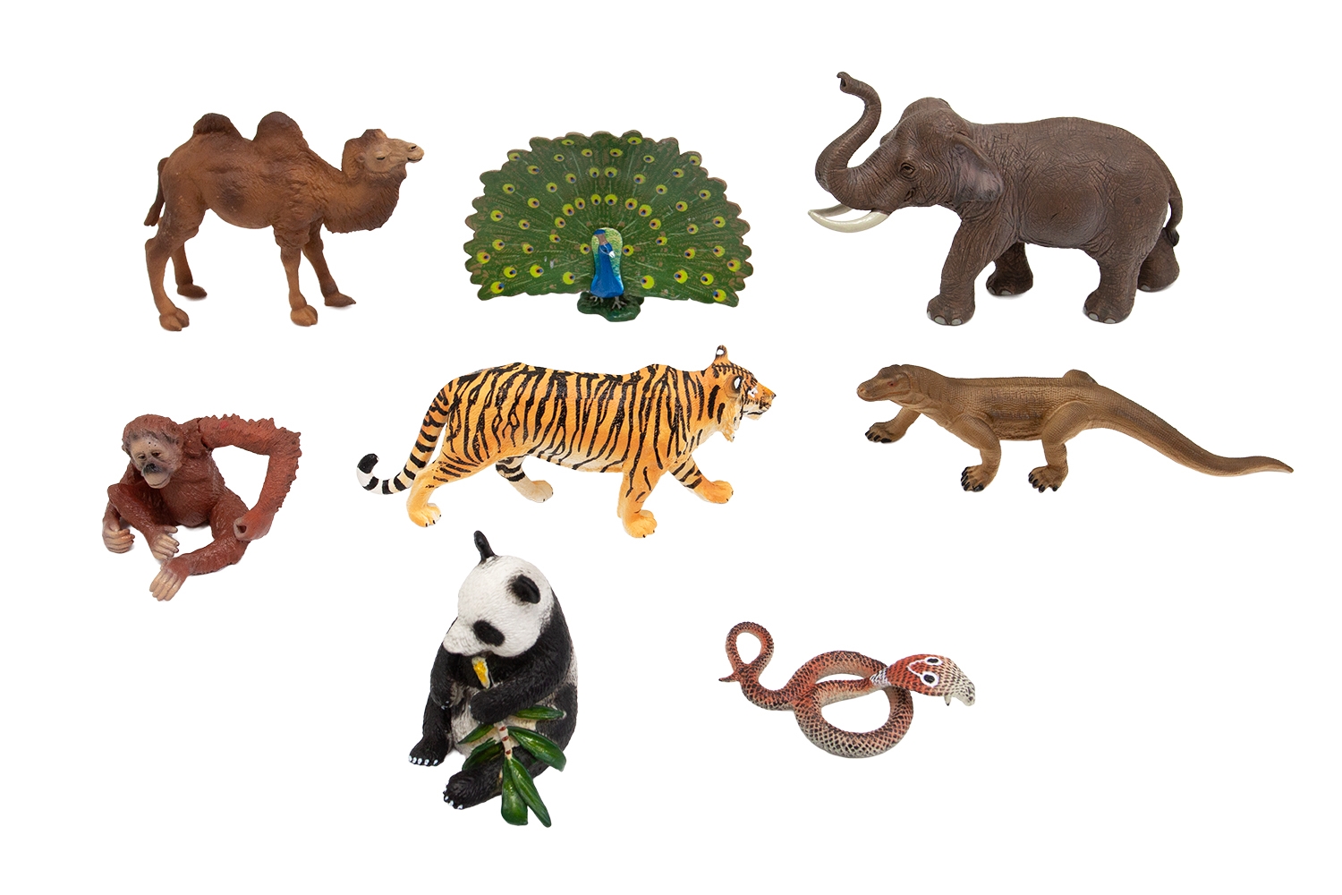 Animals of Asia
