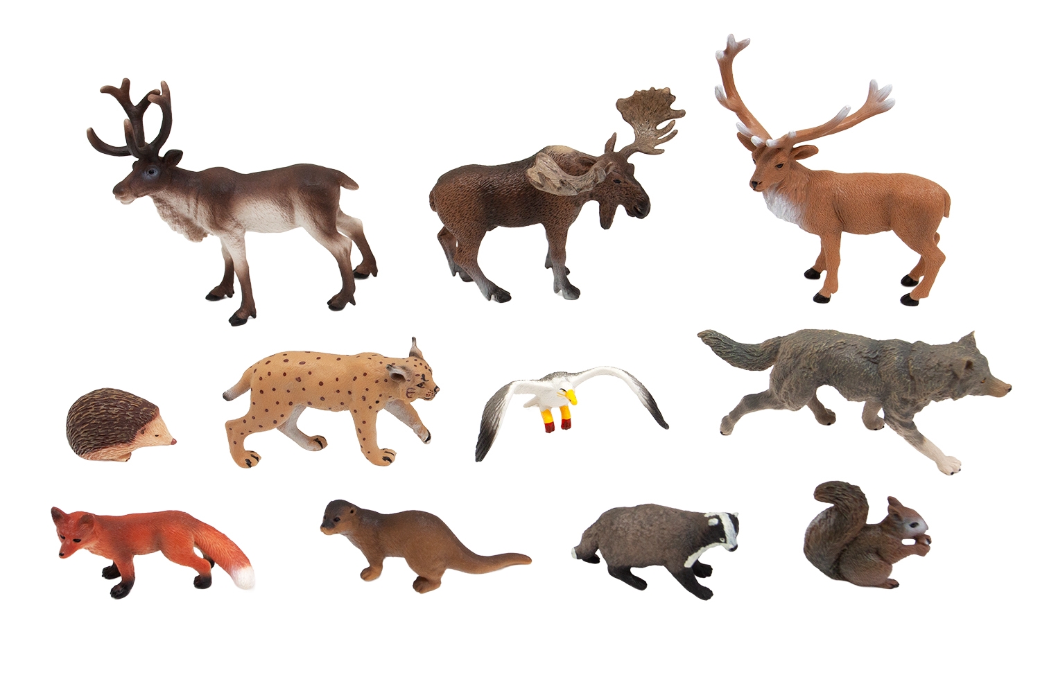 Animals of Europe