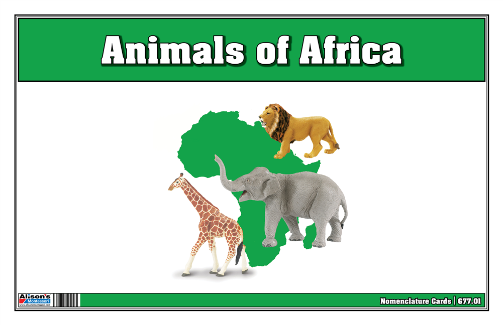  Animals of Africa Nomenclature Cards