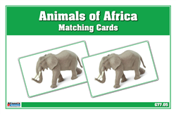 Animals of Africa Matching Cards