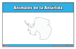 Tarjetas de nomenclatura de animales de la Antártida (Spanish)