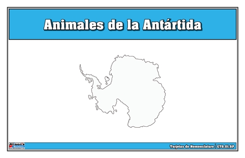 Animals of Antarctica Nomenclature Cards (Spanish)