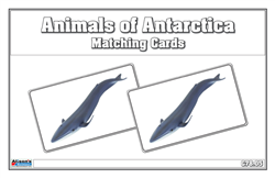 Animals of Antarctica Matching Cards