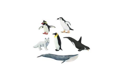 Antarctic Animals to Cards Matching