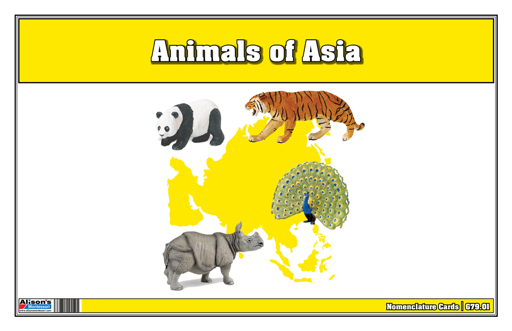 Montessori Materials: Animals of Asia Nomenclature Cards