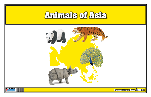Animals of Asia Nomenclature Cards