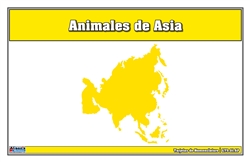 Animals of Asia Nomenclature Cards (Spanish)