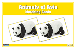 Animals of Asia Matching Cards