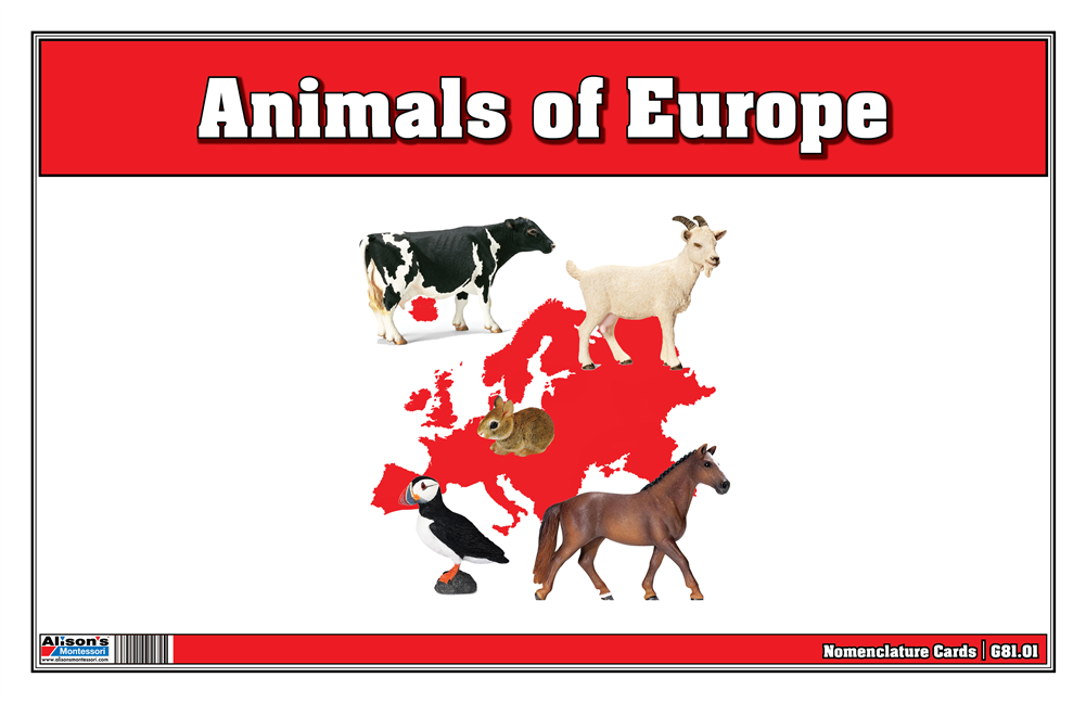 Montessori Materials: Animals of Europe Nomenclature Cards (Printed)