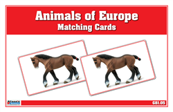 Animals of Europe Matching Cards