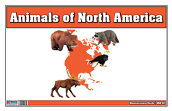 Animals of North America Nomenclature Cards