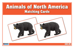 Animals of North America Matching Cards