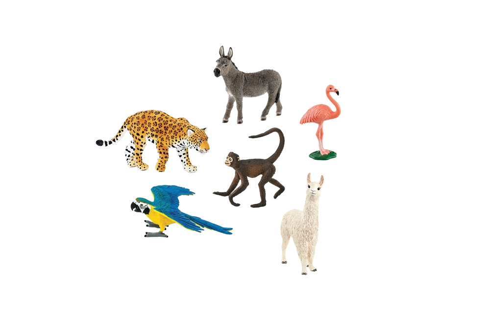 Montessori materials:Animals of South America