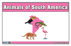 Animals of South America Nomenclature Cards (Printed)