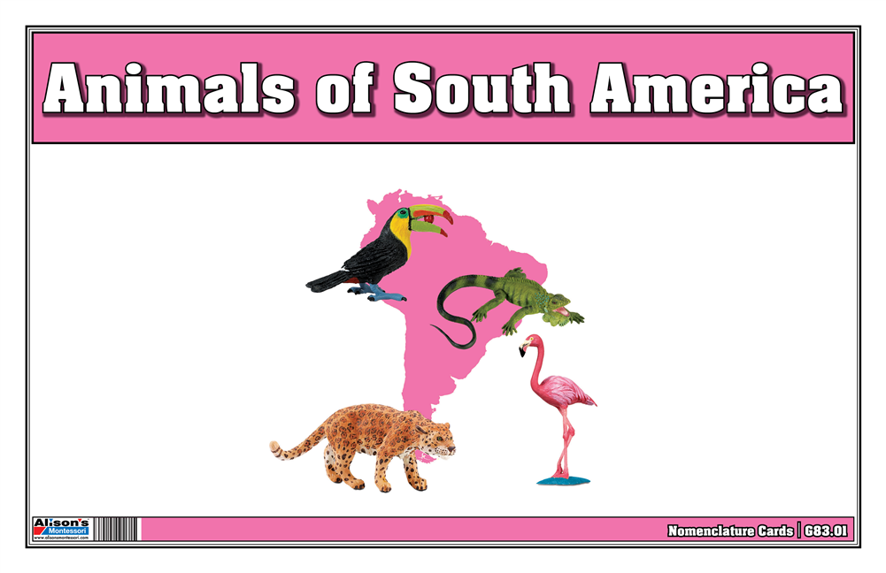 Animals of South America Nomenclature Cards 