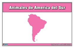 Tarjetas de nomenclatura de animales de América del Sur (Spanish)
