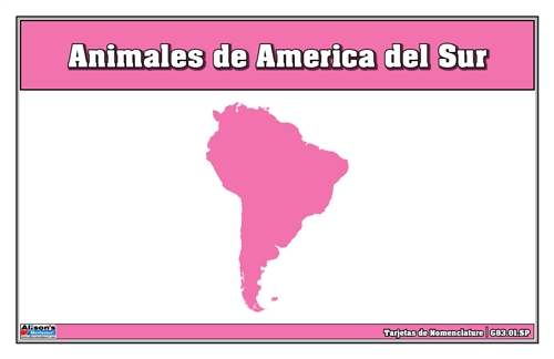 Animals of South America Nomenclature Cards (Spanish)
