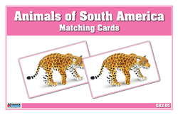 Animals of South America Matching Cards