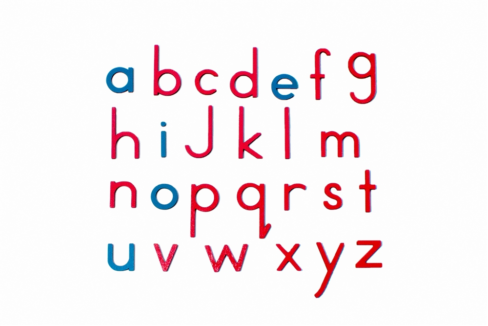 Montessori Materials: Letters for Small Movable Alphabets