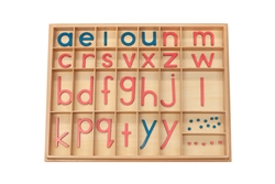 Large Movable Alphabets: Print (Pink and Light Blue)