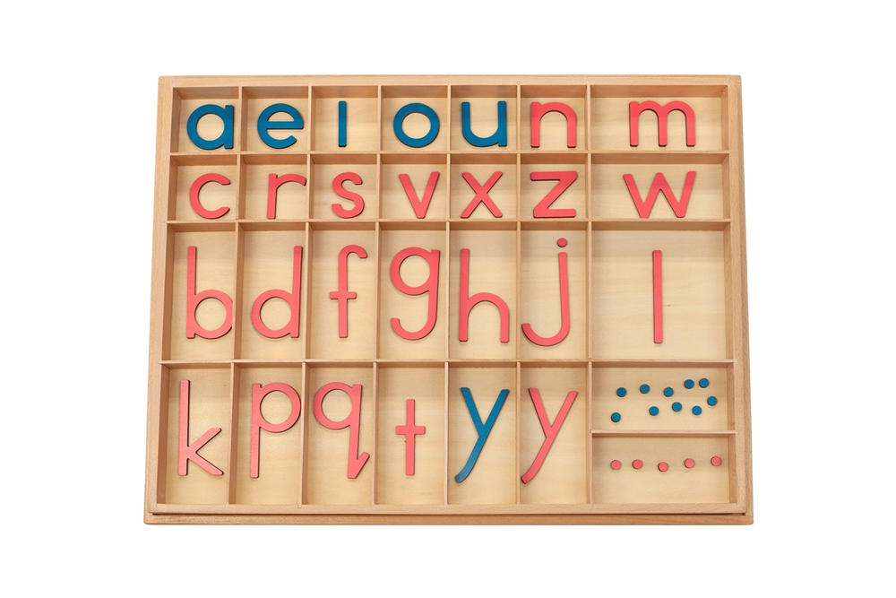 Large Movable Alphabet: Lowercase - Pink and light Blue