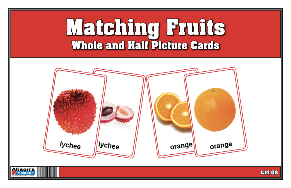 Fruit Matching Cards- Whole and Half (Printed, Laminated & Cut)