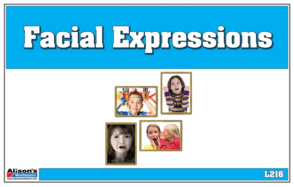  Facial Expressions