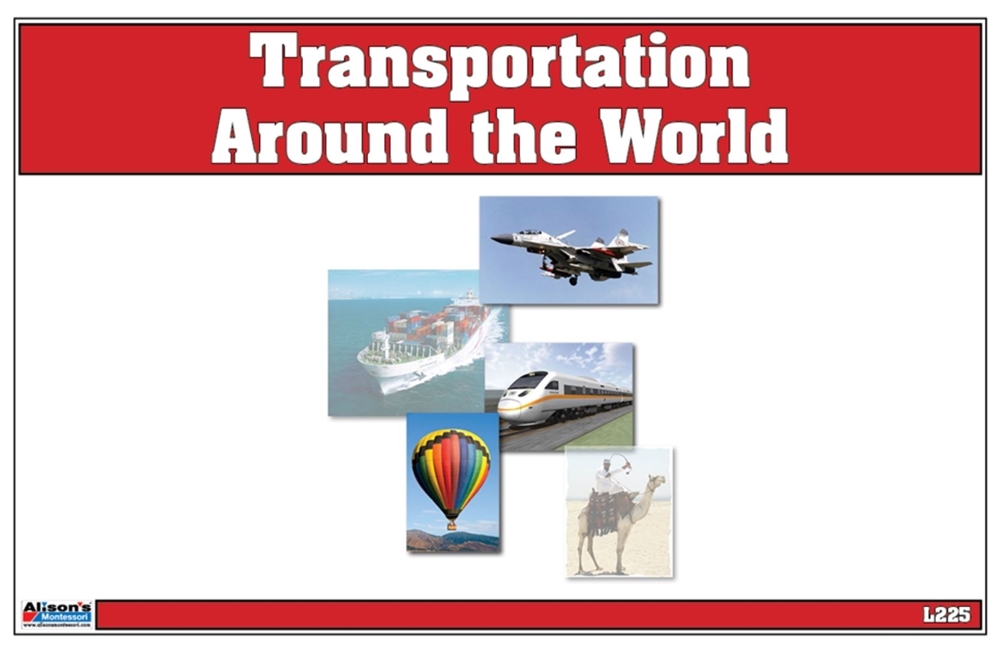 Transportation(Printed, Laminated & Cut)