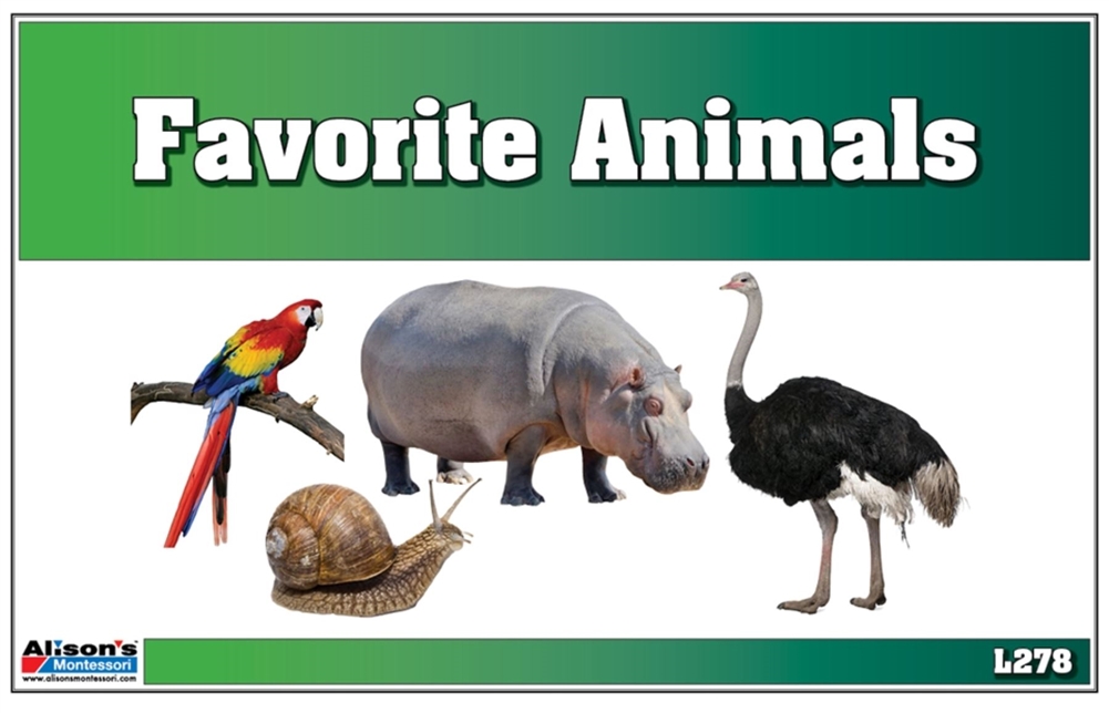 Favorite Animals (Printed, Laminated & Cut)