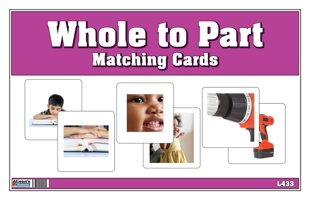 Whole to Part Matching Cards (Printed, Laminated and Cut)