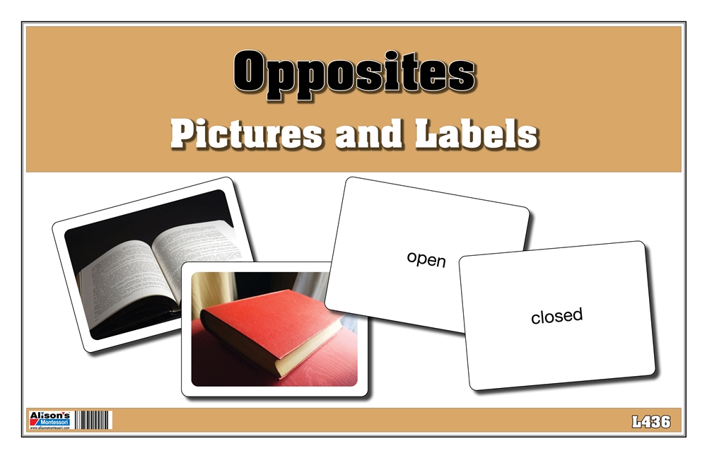 Opposites Pictures and Labels (Printed, Laminated and Cut)