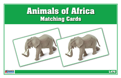 Seven Continents Animal Matching Cards