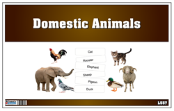 Picture Matching Cards - Domesticated Animals