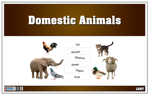 Picture Matching Cards - Domesticated Animals (Printed, Laminated and Cut)
